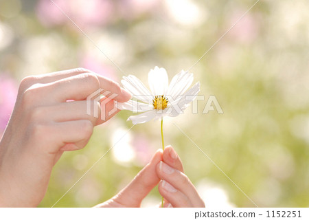 Takarena 0257 Takarena 0257 1152251