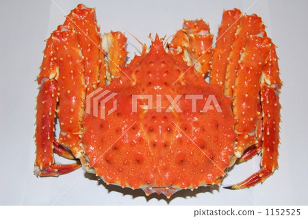 Crab 1152525