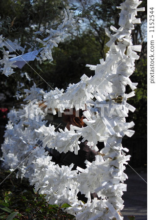 Omikuji 1152544