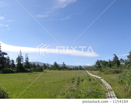 開設Nozomu Daiichi Park 1154184