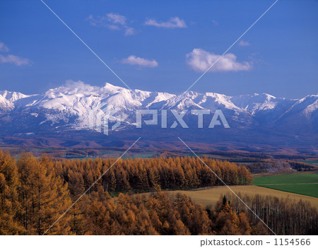 雪山 山丘 楓樹 1154566