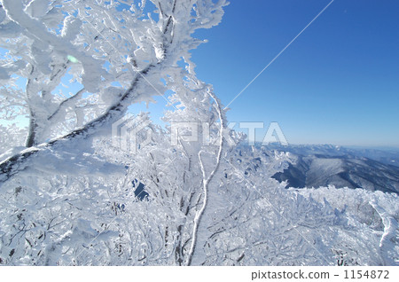 Takamiyama Ice ice Takamiyama Ice ice 1154872