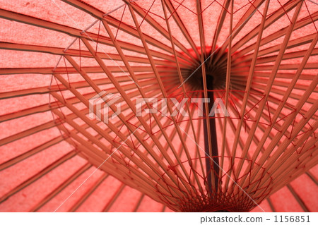 日本紅傘 1156851