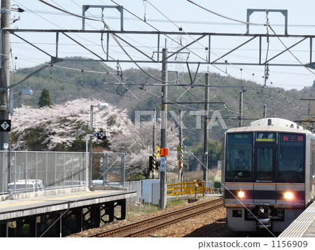 streetcar, tram, yoshino cherry tree 1156909