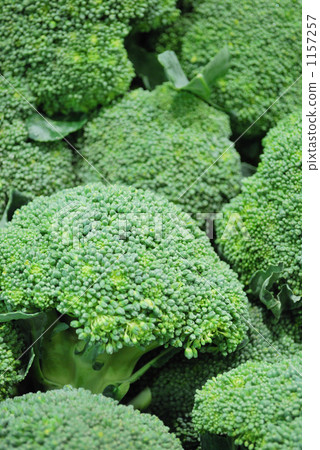 西蘭花（從側面） - 垂直位置 1157257