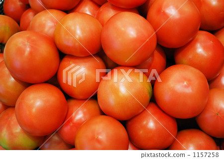 西紅柿 - 遠 1157258