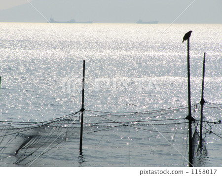 固定網的陰影漂浮在海面的光線下 1158017