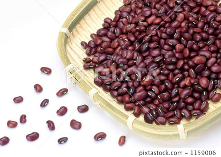 Cowpea 1159006