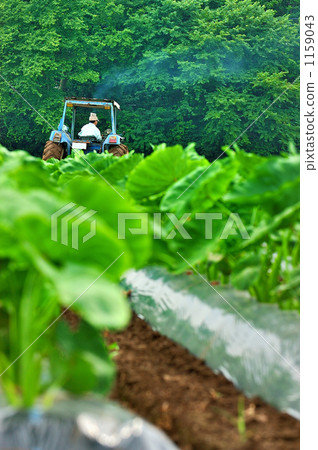 Agriculture Agriculture 1159043
