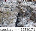 Frost pillar, it is a cold morning scenery. Frost pillar, it is a cold morning scenery. 1159171