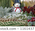 Small wish Small wish 1161437