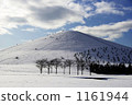 At Moerenuma Park 1161944