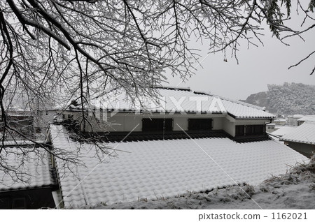 降雪 積雪 分支 1162021