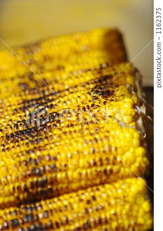 Scented seaweed sorghum 1162375