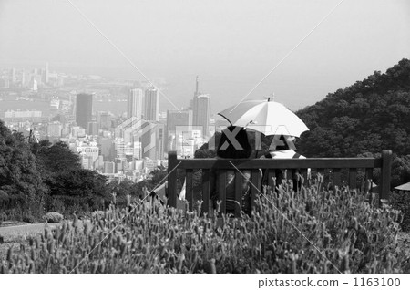 看從Kokoba藥草園的神戶的夫婦 1163100