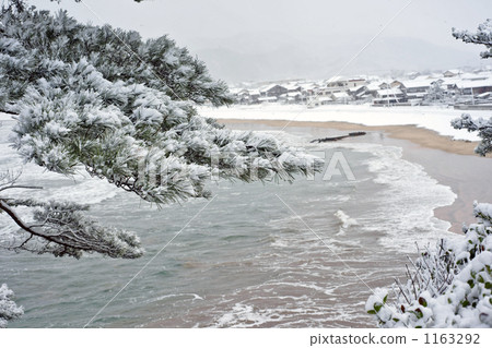 薩寧海岸在冬天 1163292