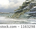 Sanin coast in winter 1163298