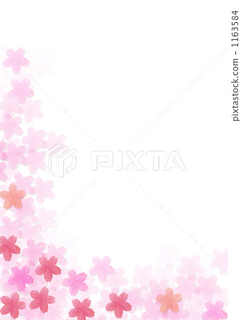 一棵輕的櫻桃樹 1163584