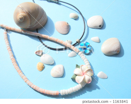 A gift from the ocean in Hawaii 1163841