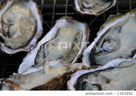 oyster, oysters, barbecue 1163892
