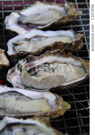 牡蠣 燒烤 網 1163896