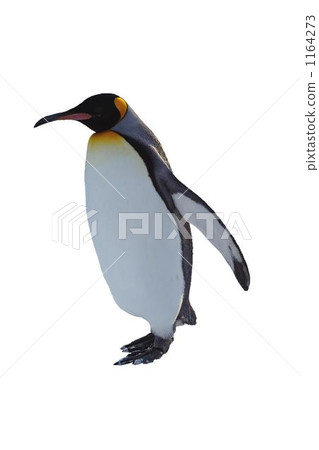 Penguin 1164273