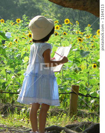A sunflower field and a girl 1164313