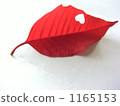 Red leaves 1165153