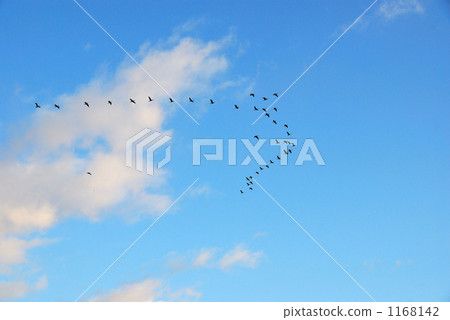 Departure Departure 1168142