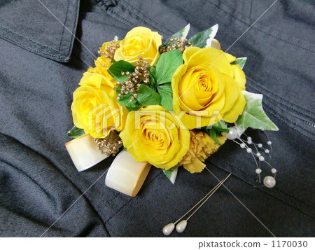Yellow corsage wanting to gently 1170030