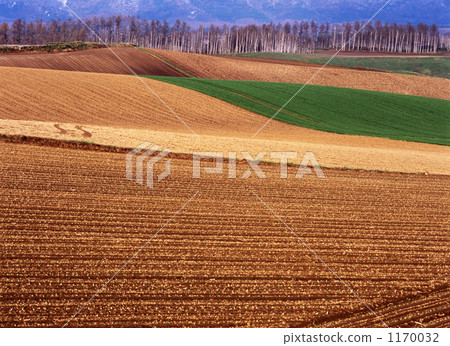 field, rural districts, furano 1170032