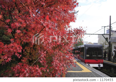 秋葉和箱根攀登纜車 秋葉和箱根攀登纜車 1170455