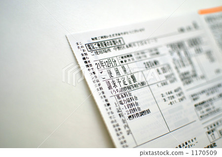 electricity cost, electricity bill, particulars 1170509