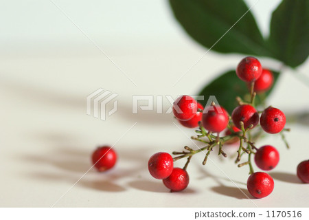 南部天空的紅色果子 1170516