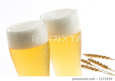 beer  1171034