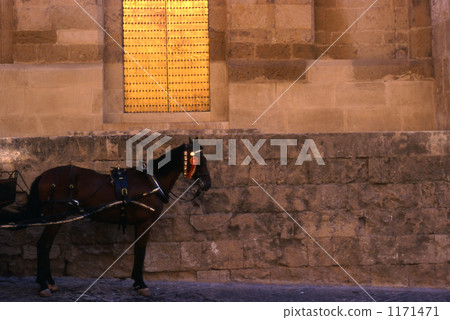 In front of Mesquita In front of Mesquita 1171471