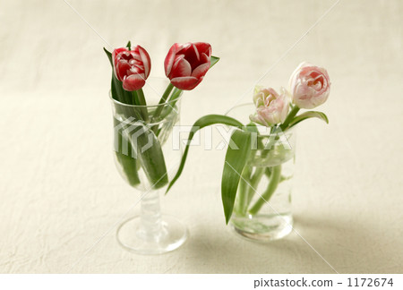 To live on tableware 1172674