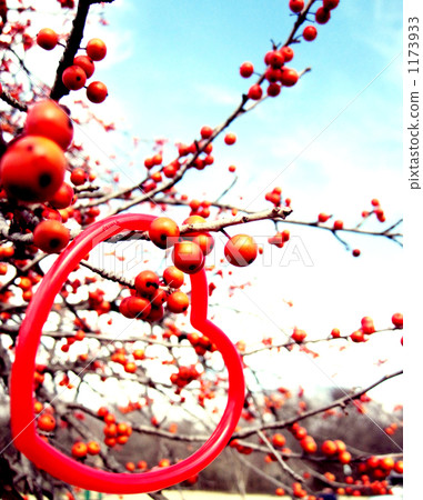 樹枝 分支 分岔 1173933