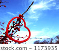 tree branch, berry, heart 1173935