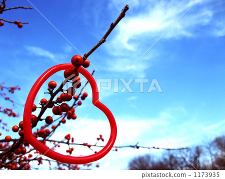 樹枝 分支 分岔 1173935