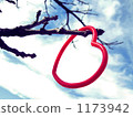 love, tree branch, st. valentine's day 1173942
