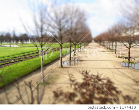 杜樂麗公園 大道 林蔭路 1174430