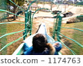 boy, playground slide, kid 1174763
