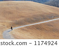 道 道路 路 1174924