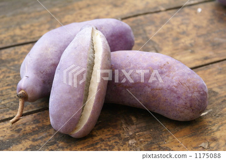 赤羽麵條 1175088