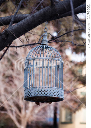 Bird cage 1176001