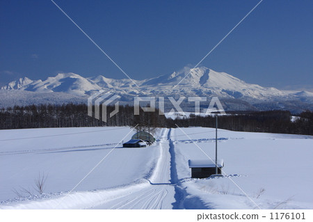 白雪皚皚 雪景 雪山 1176101