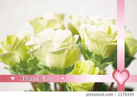 Thank you  1176394