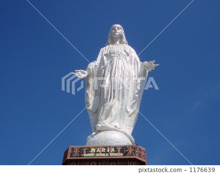 Statue of Virgin Mary 1176639