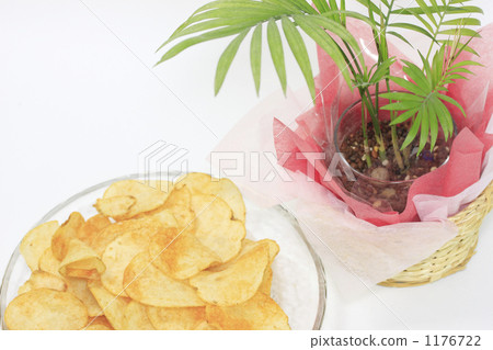 Potato chips and foliage plants Potato chips and foliage plants 1176722